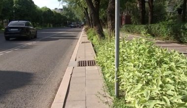 Война за арыки: алматинцы запустили петицию против закрытия каналов