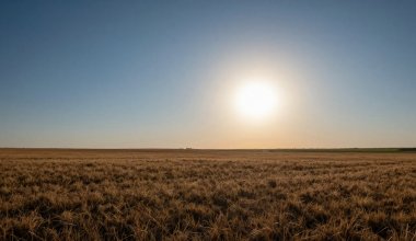 Казахстан накрыла мощная волна жары