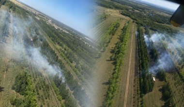 За день в Казахстане произошло пять лесных пожаров
