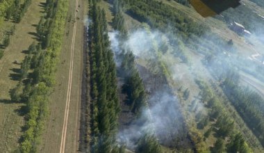 Более 40 лесных пожаров произошло в Казахстане за неделю