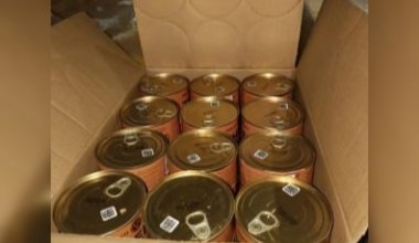 Россия обвинила казахстанского грузоперевозчика в нарушении правил ЕАЭС