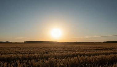 Горячие воздушные массы несут новую волну сильной жары в Казахстан