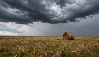 Сильные дожди и град прогнозируют синоптики в отдельных регионах Казахстана