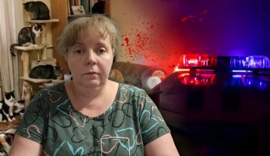 «Лучше бы родила детей»: как история с кошками превратилась в скандал с полицией в Конаеве