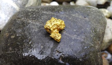 Китайцы незаконно добывали золото на востоке Казахстана