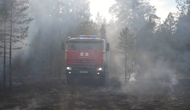 Пожар в «Семей орманы» потушили спустя почти две недели