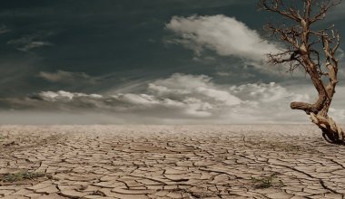90% нефтяных компаний на западе Казахстана не выполнили экологические обязательства