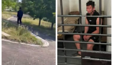«Пытался изнасиловать»: на астанчанку напали в парке средь бела дня
