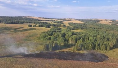 Семь лесных пожаров произошли в Казахстане за один день