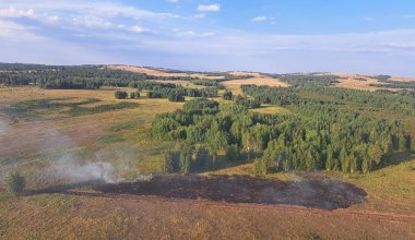 Пожары охватили леса в четырех регионах Казахстана