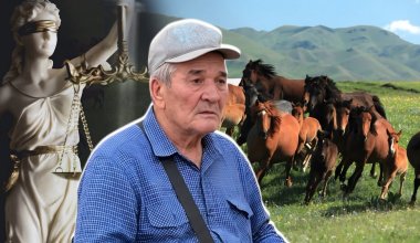 А была ли кража? Как табунщика посадили за 100 лошадей, а потом выпустили на свободу