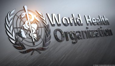 ВОЗ сделала заявление о распространении вируса Бурбон