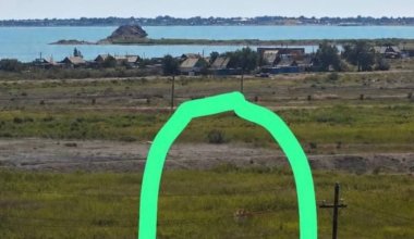 Фото амурского тигра у села переполошило казахстанцев