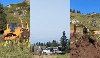 «Пока он еще жив»: новые кадры с Кок-Жайляу встревожили алматинцев