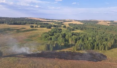 Сразу три лесных пожара произошли за сутки в Казахстане