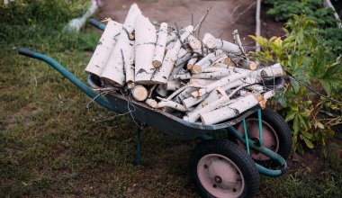Зараженную древесину из России пытались завезти в Казахстан