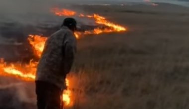 МЧС игнорирует крики о помощи: крупный степной пожар угрожает селу и сенокосам