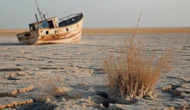 В Аральском море обнаружили новую угрозу