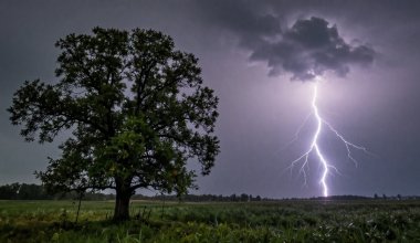Синоптики предупредили жителей ряда регионов Казахстана о непогоде 20 августа