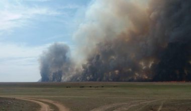 Пожары, державшие в страхе села Карагандинской области, потушили