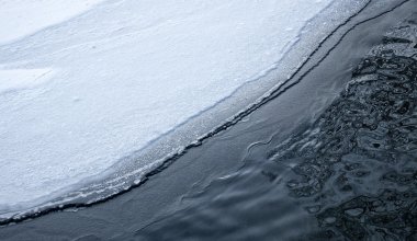 13-летний подросток вытащил из воды тонущего ребенка в Карагандинской области