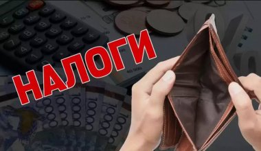 Бизнесу дали 30 дней: за что налоговая может назначить проверку в Казахстане