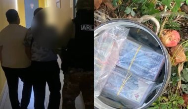 Кастрюлю с 24 миллионами тенге нашли под яблоней в Павлодаре
