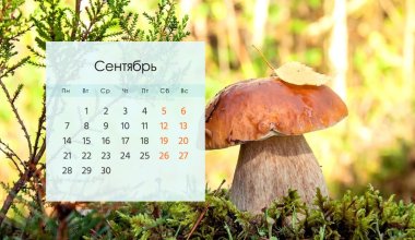 Сколько дней казахстанцы отдохнут в сентябре 2026 года
