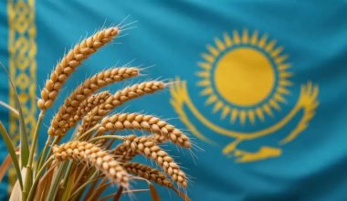 Война в Украине бьёт по казахстанским аграриям — эксперт