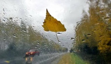 Заморозки идут на север Казахстана