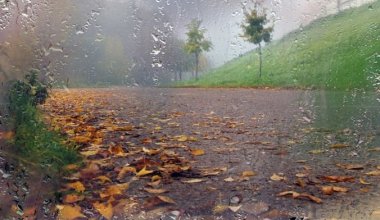 В Казахстане ожидаются грозы и сильный ветер 12 сентября