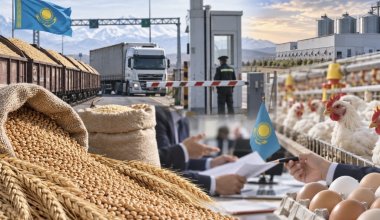 Казахстанские птицеводы боятся роста цен после возможного запрета на импорт пшеницы