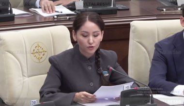 Экс-прокурор Аймаганова высказалась о перепродаже оружия Казахстаном третьим странам