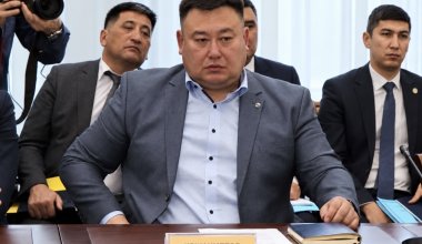 5 млн за сайгаков: КНБ задержал «главного охотника» ЗКО