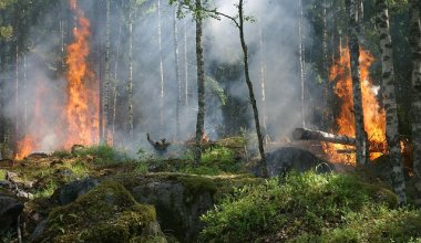 Пожар в Тарбагатайском нацпарке: к огню не может добраться техника