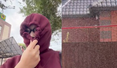 Актобе атаковали мошки: жители прячутся под капюшонами и не могут выйти на улицу