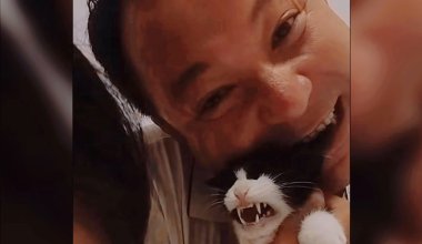 Мужчину, который мучил котёнка ради подарков в TikTok, нашли и наказали