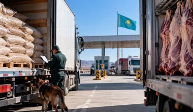 Грузы из России и Монголии развернули на границе Казахстана