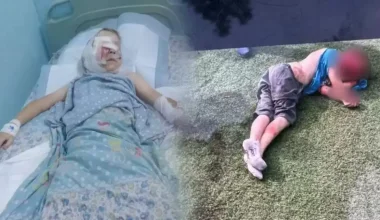 Хозяина бойцовских собак, растерзавших ребёнка под Алматы, осудили и тут же отпустили