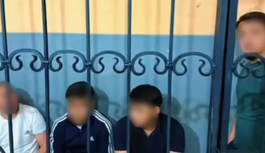 Блогеров отправили под арест после эфира в TikTok в Шымкенте