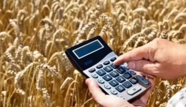Фермерам могут дать льготное финансирование на дождевальные машины