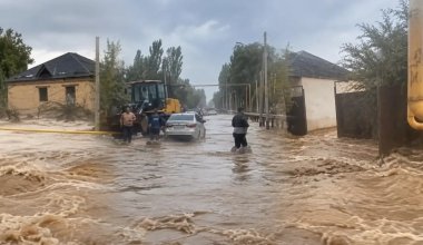 Потоки грязи смыли машины и скот: последствия ливня в Туркестанской области