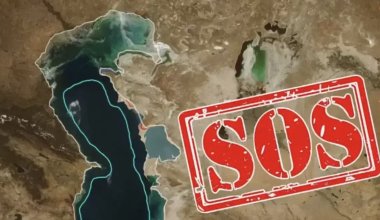 Алиев предупредил о возможной катастрофе из-за обмеления Каспия