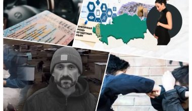 Убили зоозащитника, пособия сравнили с зарубежными, за пересдачу на права придётся платить – обзор