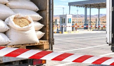 Сотни тонн заражённой продукции из России нашли в нескольких регионах Казахстана
