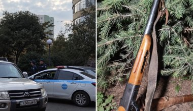 Опасная находка: оружие выбросили вместе с мусором в Алматы