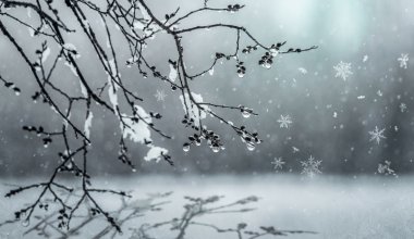 Зима напоминает о себе: в Казахстане ждут снег и гололёд