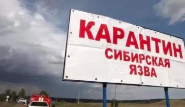 Верьте на слово: Минсельхоз засекретил карту очагов сибирской язвы