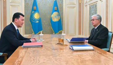 Карин рассказал Токаеву о межэтническом согласии и правах детей