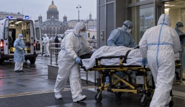 В России проверяют возможное распространение оспы обезьян: что известно